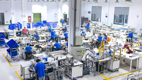 捂了三年，阿里的犀牛工廠到底在“織”什么？